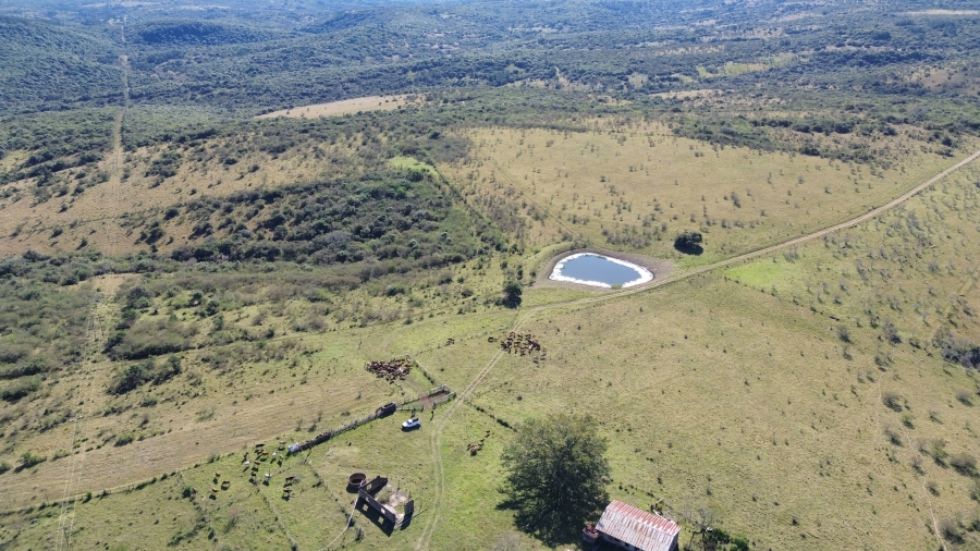 Commercial Property for Sale in Komga Eastern Cape